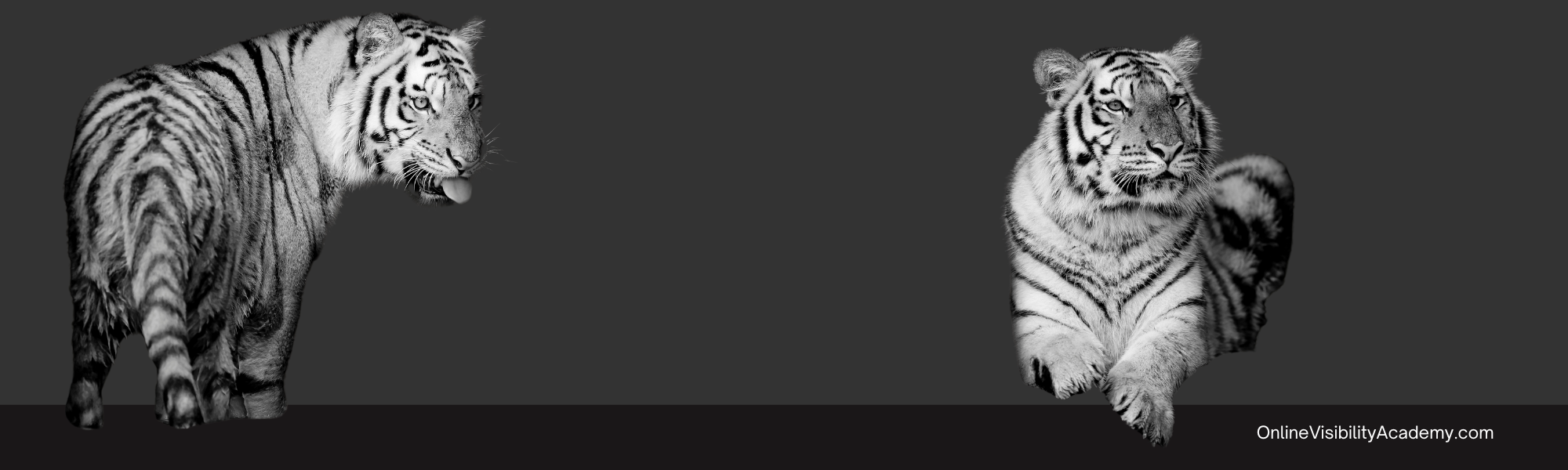 Learning styles for online courses