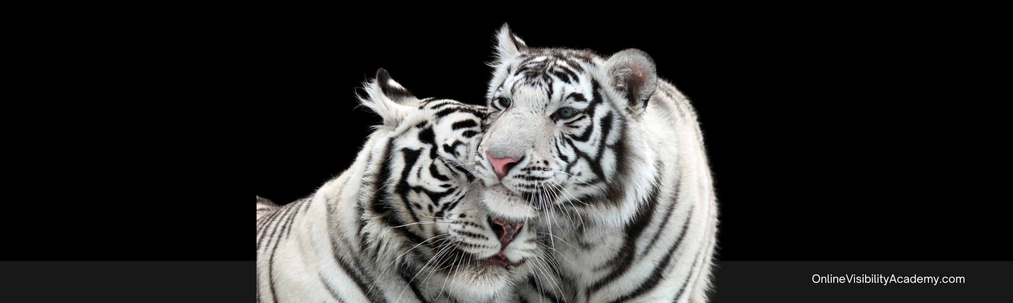 The truth about FRequent posting