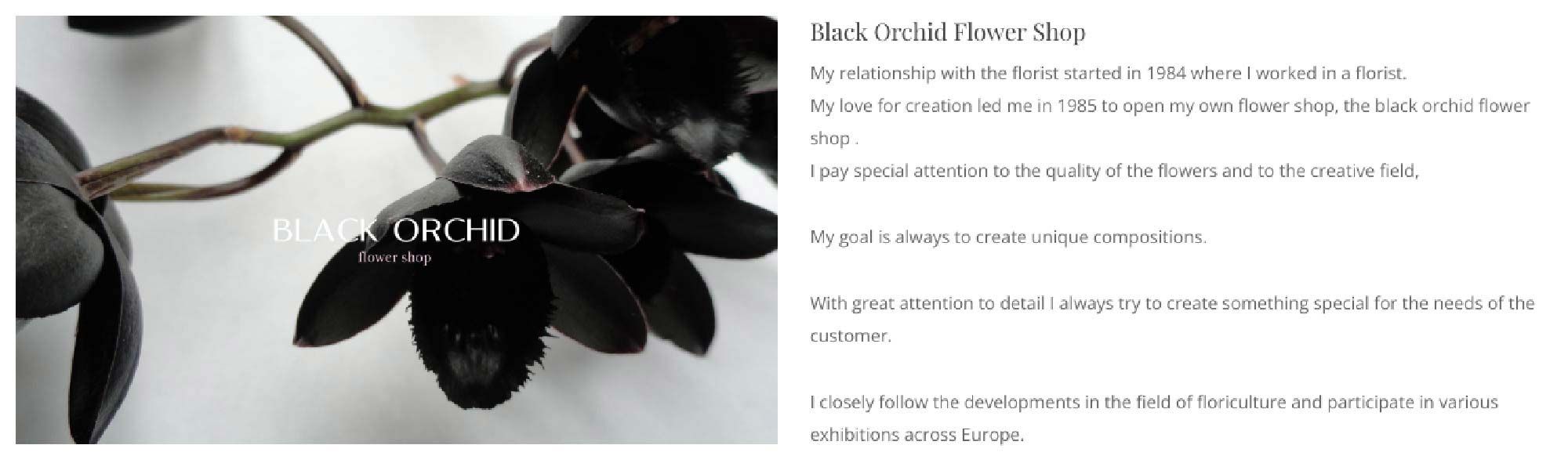 black orchid,applab projects,custom website,wordpress website,eshop