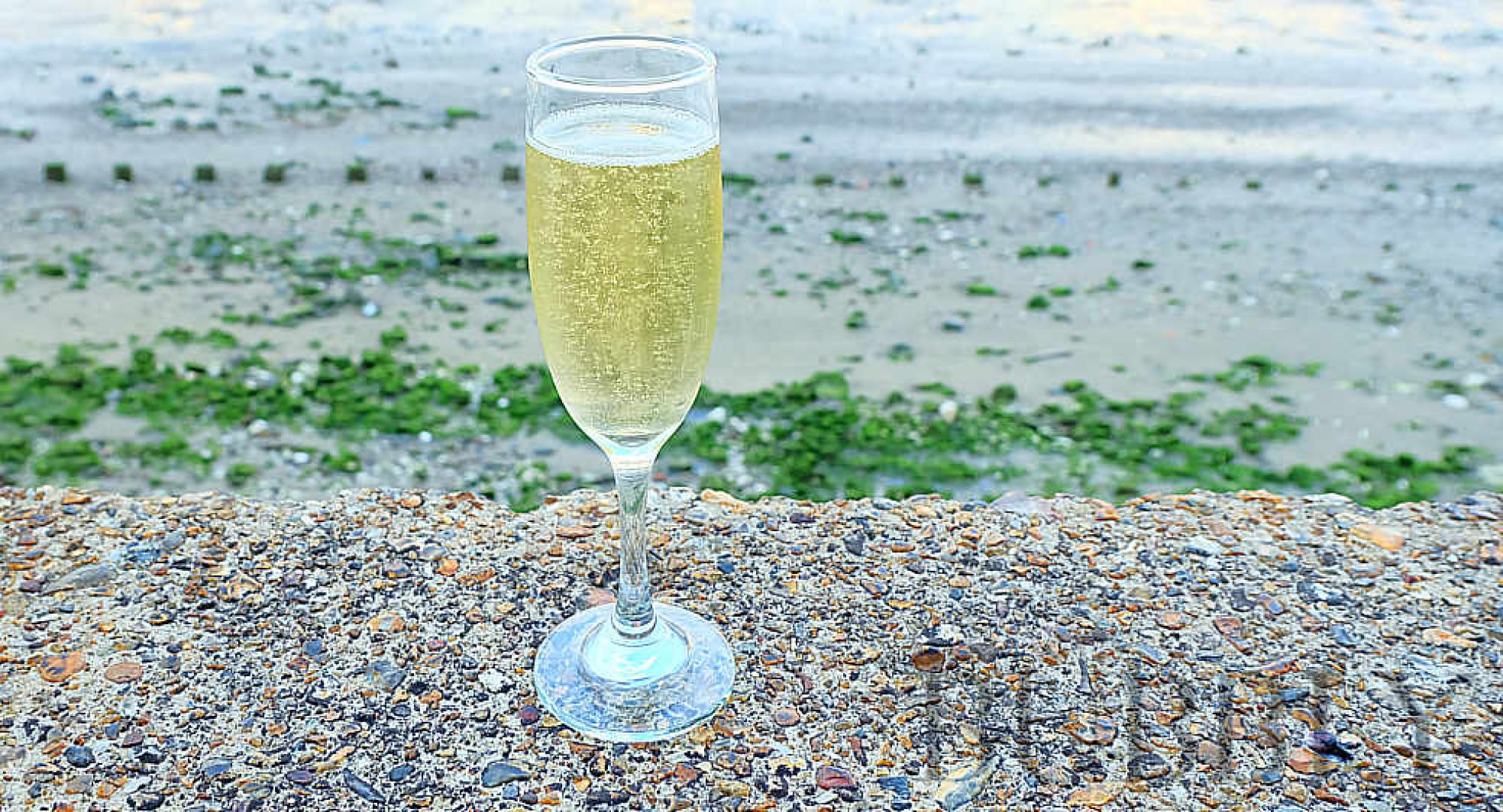 L’Acadie Vineyards release 2009 Prestige Brut ESTATE