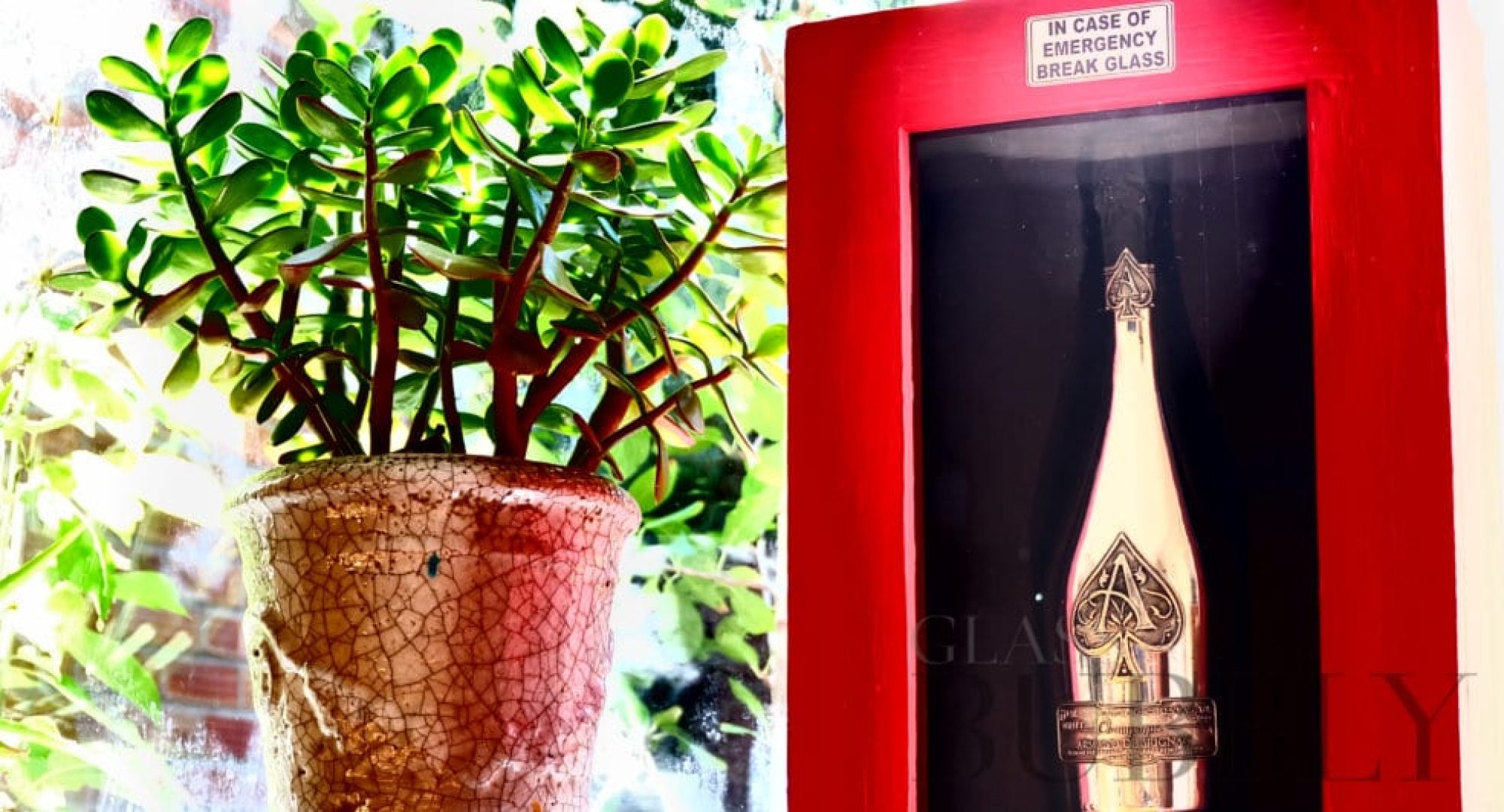 Armand de Brignac Champagne Appoints Chief Marketing Officer