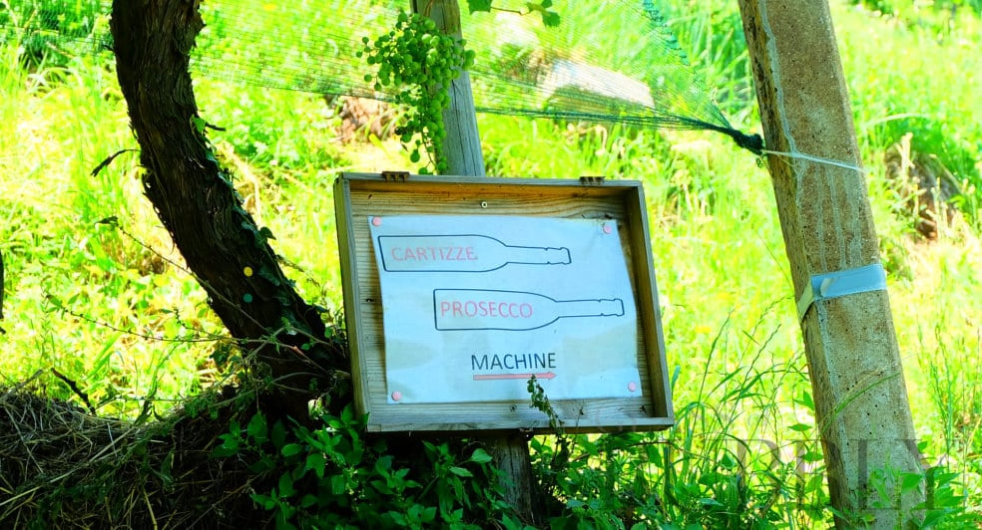 Out of each 400 bottles of Prosecco, only one is Cartizze