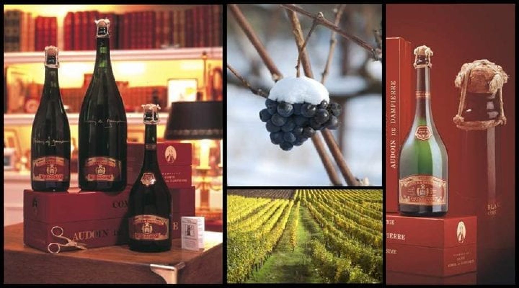 Champagne Dampierre