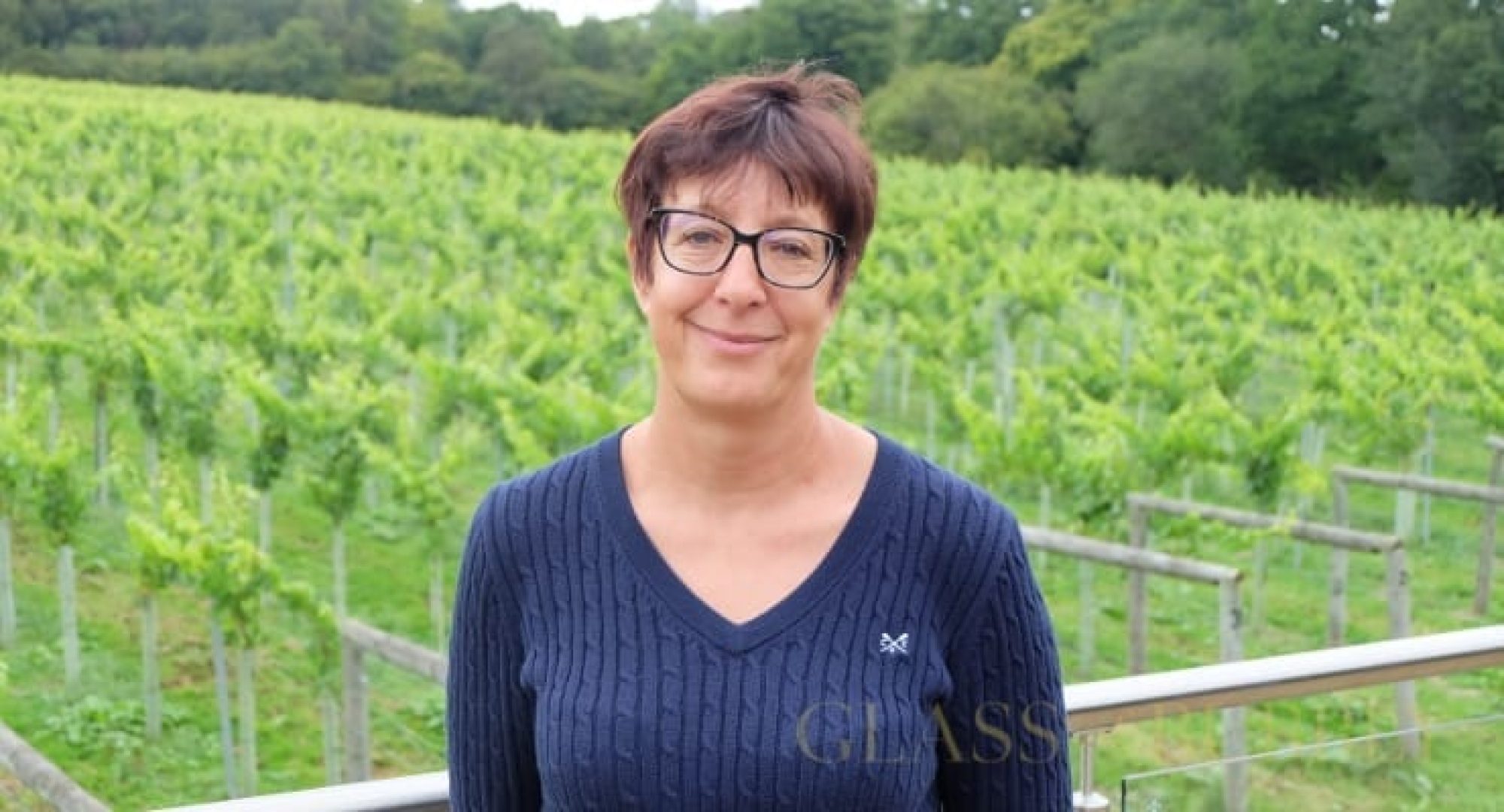 Golden Tour Celebrating 50 Years of Bolney Wine Estate (closed)