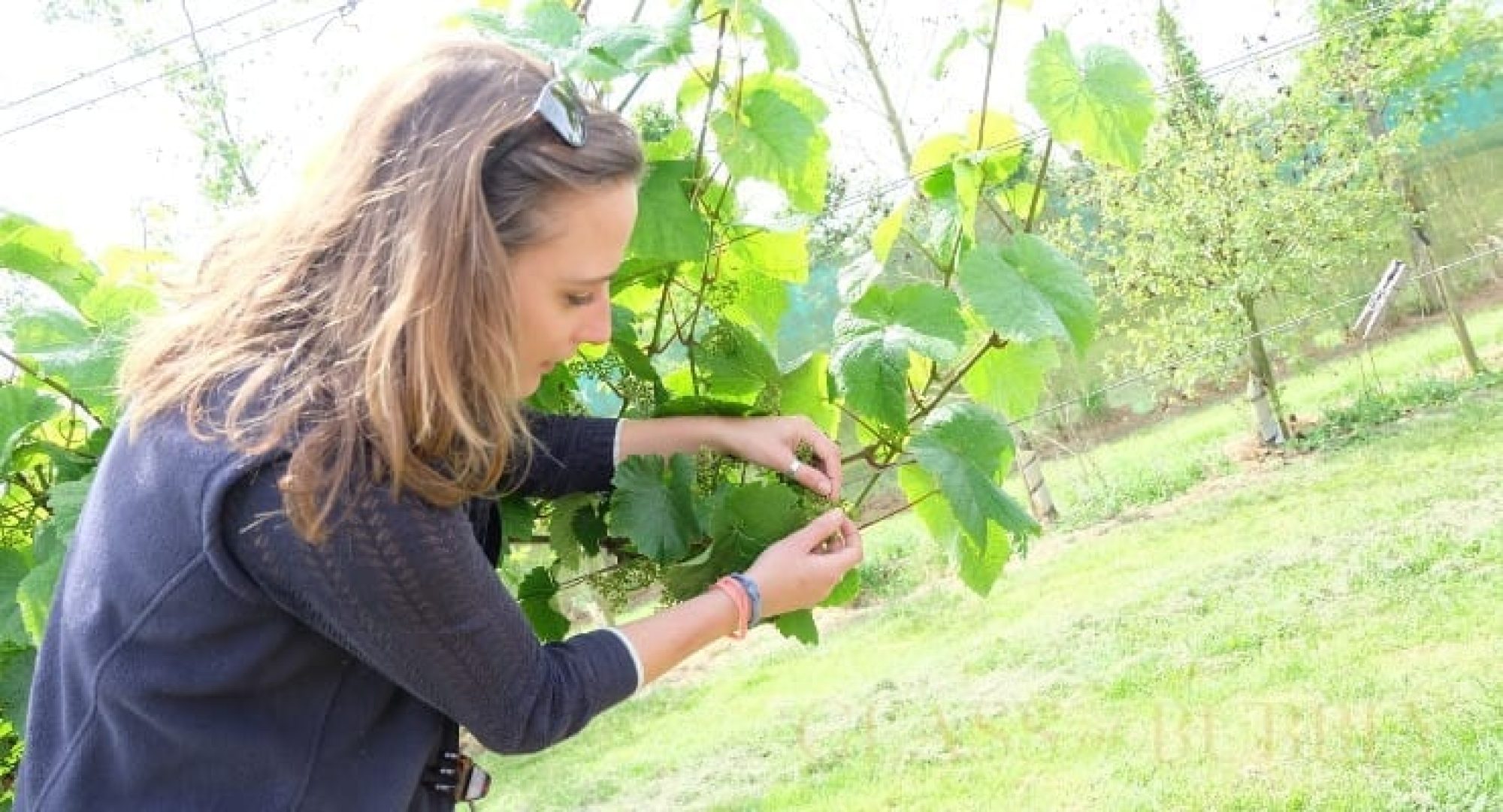 Interview with Tiléri Charles-Jones from Poulton Hill Estate