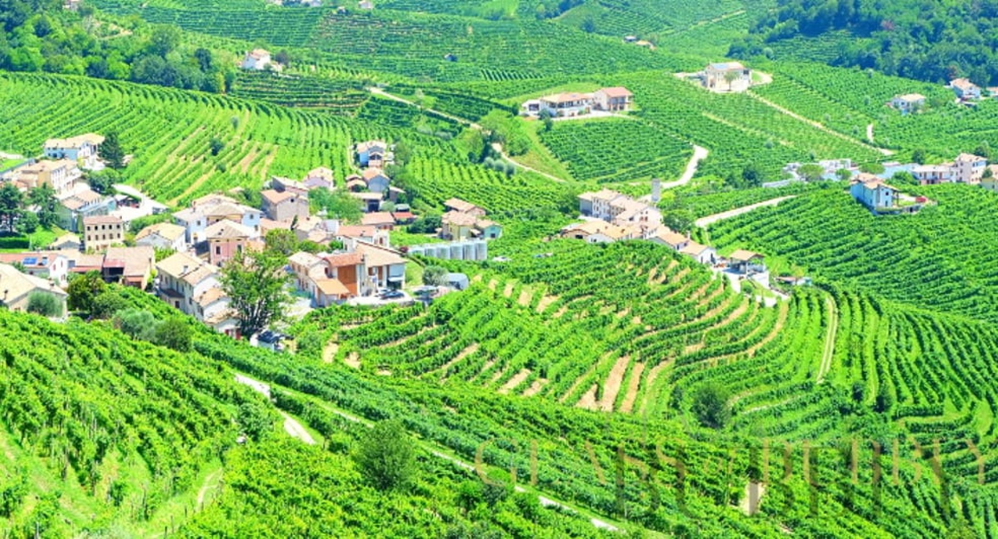 Your Perfect Wine Tour: Best Places to Taste the Best Winemaker’s Works