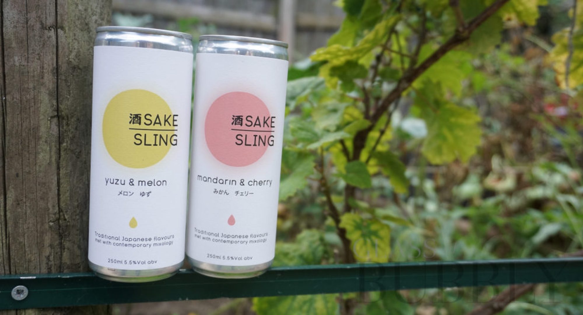 Launch of Sake Sling Canned Cocktails