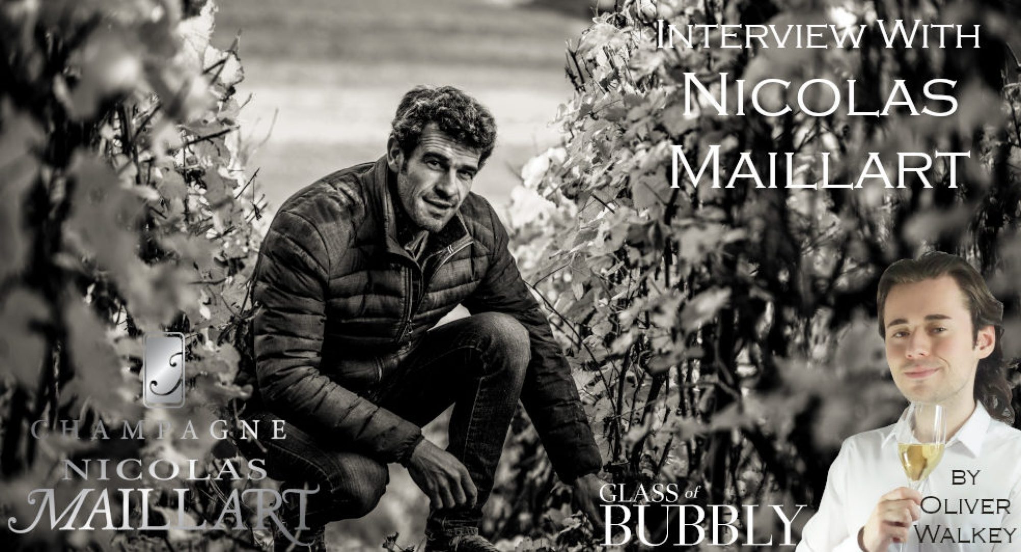 Champagne Nicolas Maillart is the first Champagne to be labelled HVE