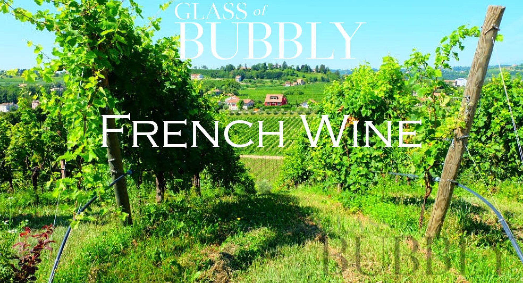 French Wine