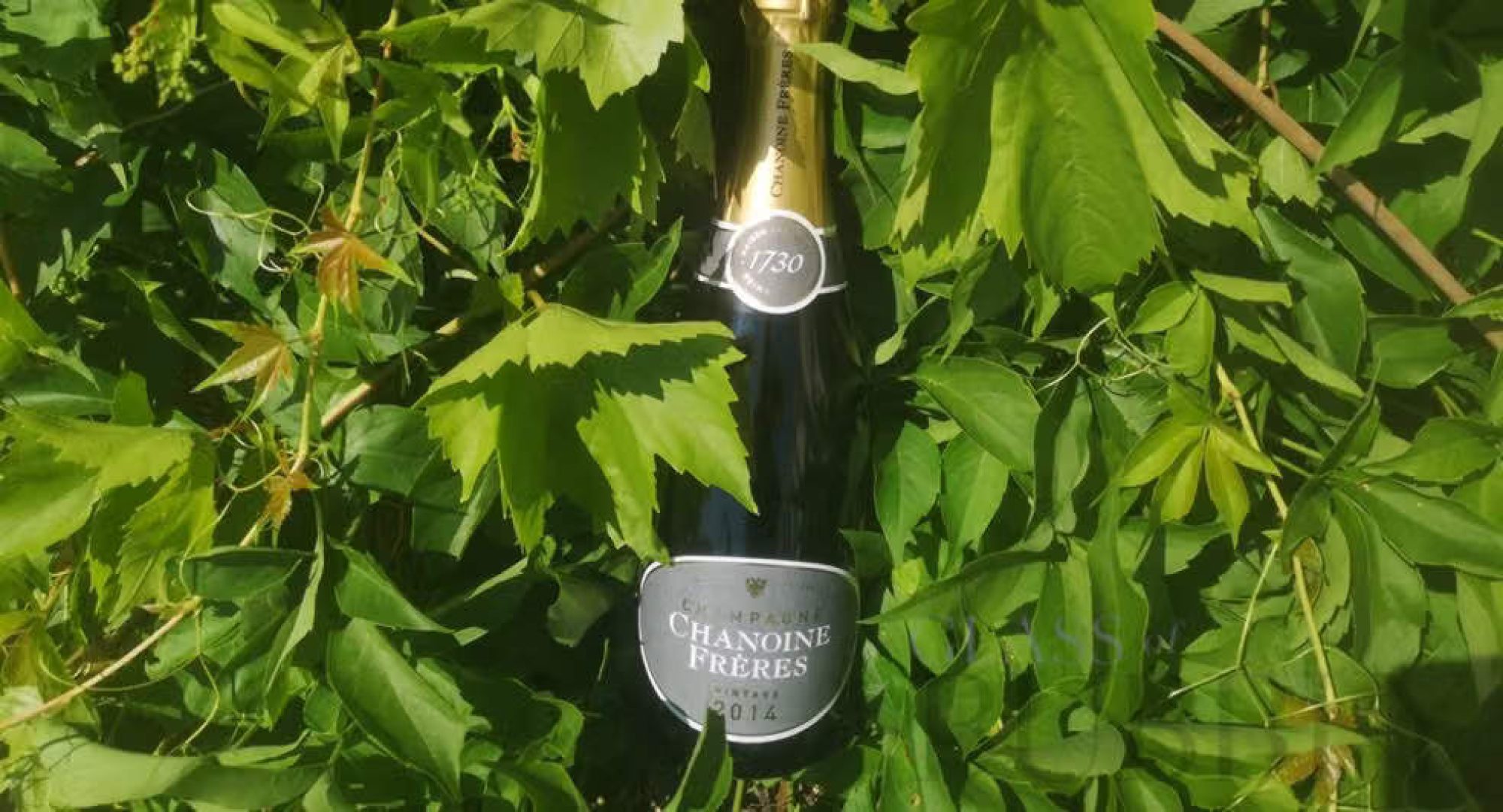 Champagne Chanoine Frères Réserve Privée Vintage 2014