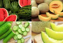 14 loại trái cây giải nhiệt thanh mát rất tốt cho mùa hè