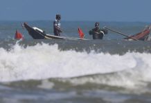 Mùa đánh bắt cá biển gần bờ