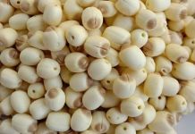 Hương vị đặc trưng của hạt sen Huế chẳng nơi nào có được!