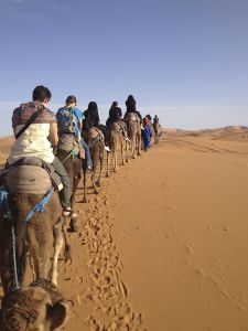 Camel trek in Morocco.