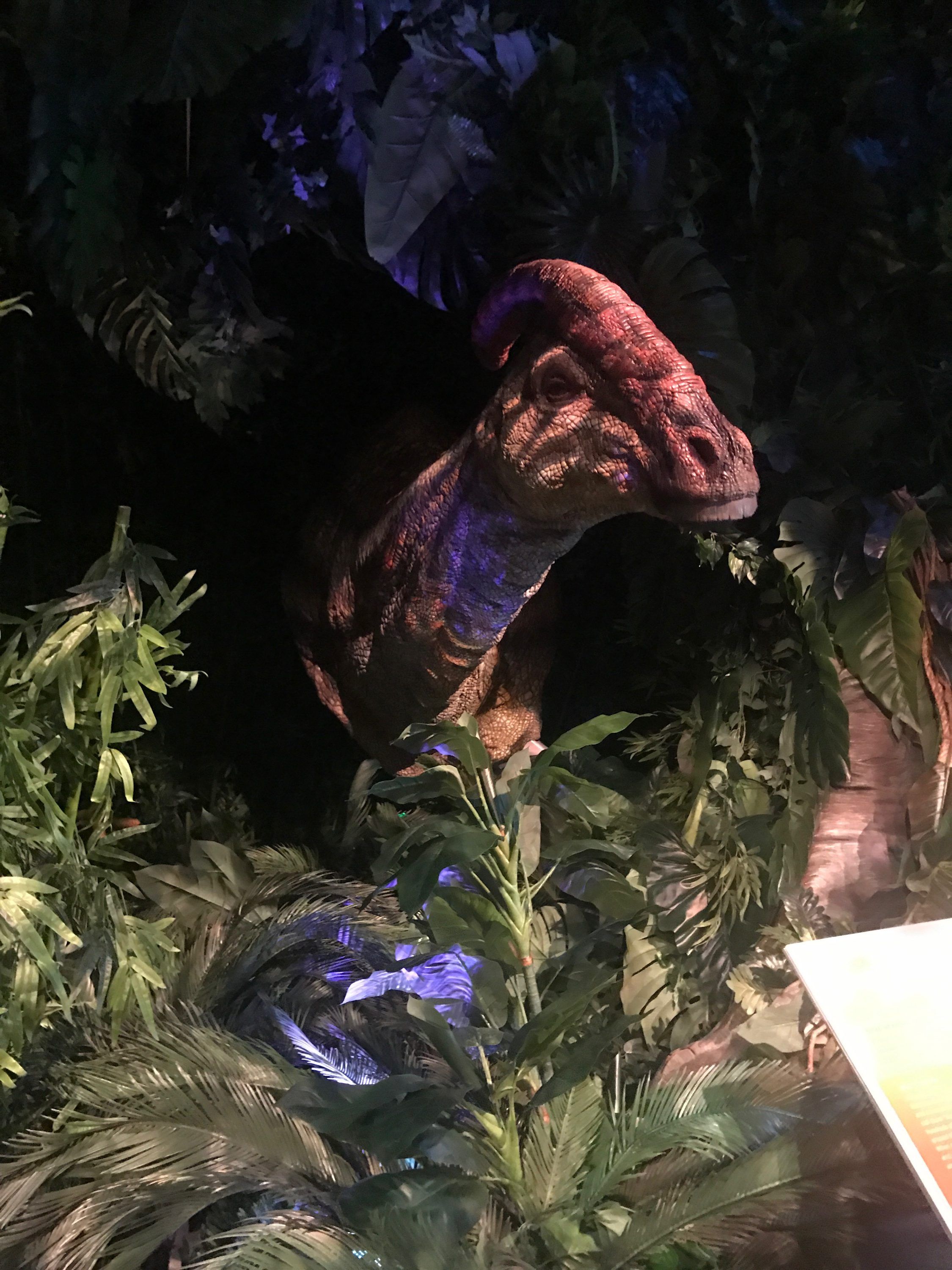 An animatronic parasaurolophus greets guests as they enter the Jurassic World exhibit. Photo by Laura Sansom.