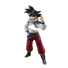 SON GOKU 's RETURN TO EARTH