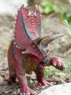 Pentaceratops Modell