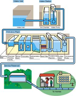 Water-Purification