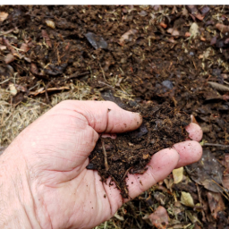 Biodegradable Soil Business