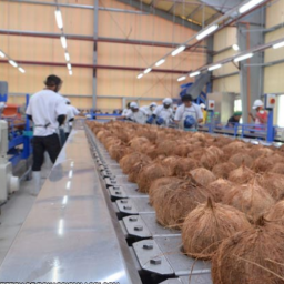 Coconut Oil-Based Food Processing Unit 