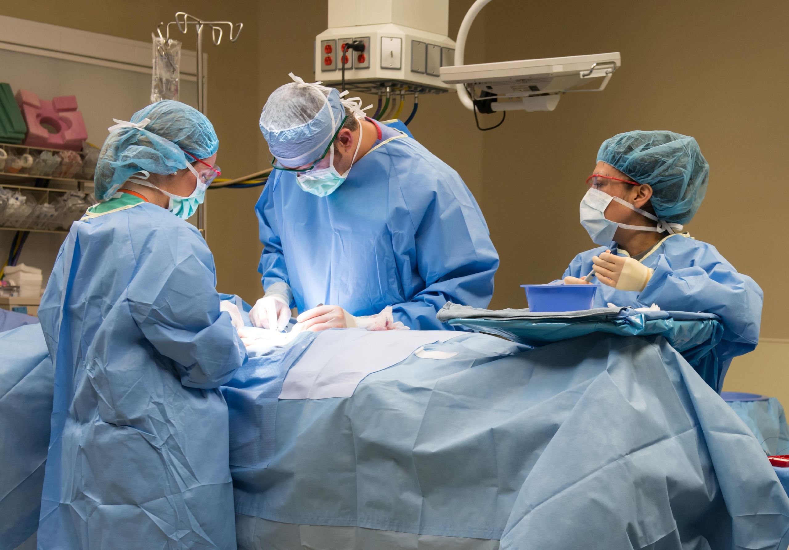 SEGMENTAL PANCREAS TRANSPLANTATION: ADVANCEMENTS AND BENEFITS EXPLORED