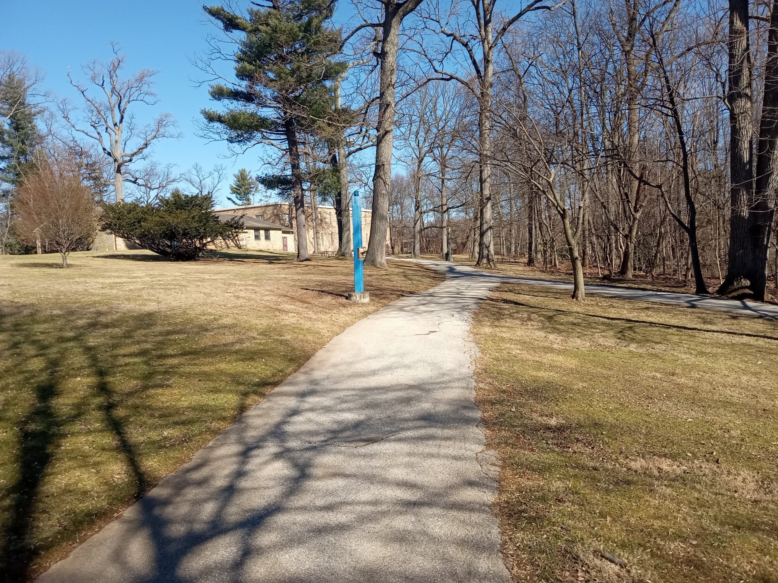 A concrete pathway in the middle of bare trees and dead grass.
