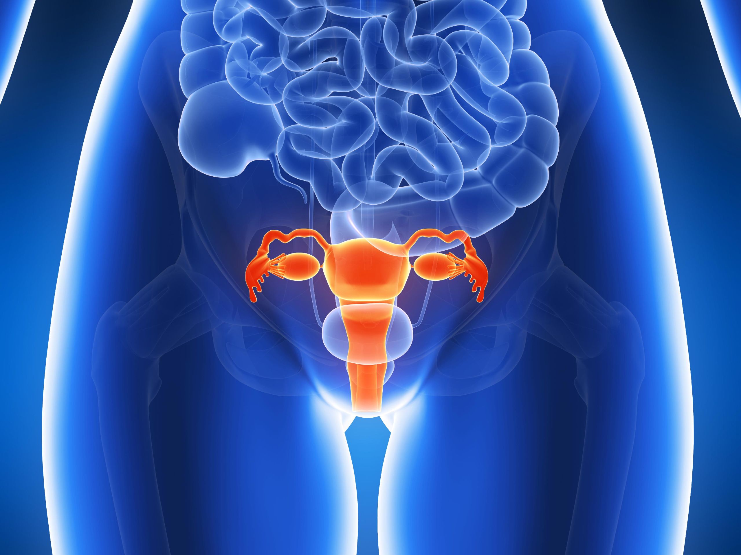 DISEASE OF THE UTERUS DISEASE OF THE UTERUS