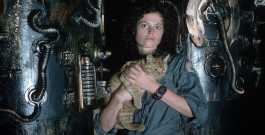 Dark, mysterious, and grim: The Alien is a Sci-Fi Horror film that has enthralled many fans around the world. Add a touch of the mystery to your house with Alien-inspired themes all over your rooms.