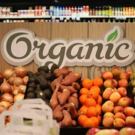 organic products store