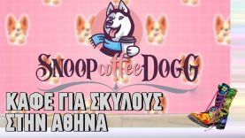 Καφέ για σκύλους στην Αθήνα | Ράδιο Αρβύλα | Top Επικαιρότητας (27/2/2024)