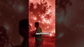 «Πέθαναν σαν το σκυλί στο αμπέλι»: Αβάσταχτος ο πόνος για τους νεκρούς της φωτιάς στο Ξυλόκαστρο