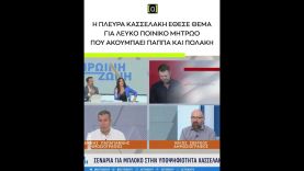 Σβέρκος: Η πλευρά Κασσελάκη έθεσε θέμα λευκού ποινικού μητρώου που ακουμπάει Ν. Παππά και Πολάκη