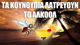 Τα Κουνούπια Λατρεύουν το Αλκοόλ – Smart Chemistry