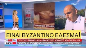 Οι Τούρκοι μας κλέβουν το κοκορέτσι, Κυριάκο σήκωσε τα RAFALE!