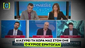 Κριθαρίδης: Διασύρει τη χώρα μας στον ΟΗΕ ο Ερντογάν