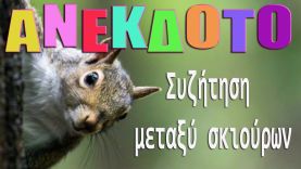 ΑΝΕΚΔΟΤΟ – Συζήτηση μεταξύ σκιούρων | anekdotakias™