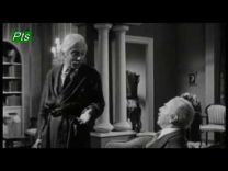 Είναι υποχρεωτικό να ευχαριστιέται και η κότα;