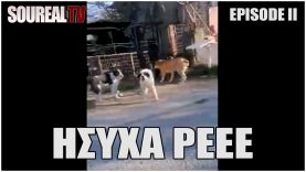 ΗΣΥΧΑ ΡΕΕΕ EPISODE II | «ΚΑΤΩΩΩΩΩ» – «ΜΕΣΑΑΑΑΑΑ» 25 WILD dogs