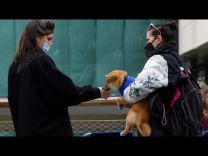 Κύπρος – Covid-19: Επτά θάνατοι και 1.934 νέα κρούσματα σε μια εβδομάδα