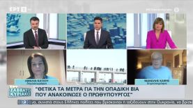 «Πουθενά στην Ευρώπη δεν υπάρχει αναβολή δίκης επειδή ο δικηγόρος έχει άλλη δουλειά!» Καψής στην ΕΡΤ