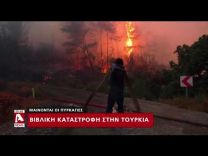 Βιβλική καταστροφή στην Τουρκία από τις πυρκαγιές, καίγεται και η Σιβηρία (VID)
