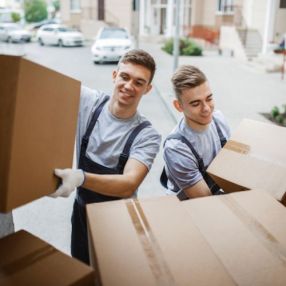 Transport (movers & Packers business)