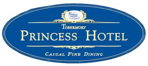 princess-hotel-logo