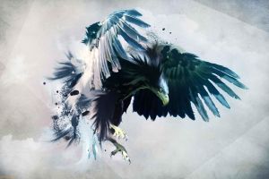 63671156-american-eagle-wallpapers