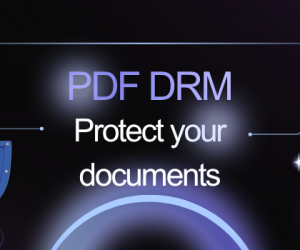 Digital Rights Management (DRM) for PDF documents