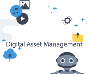 Cloud-based vs. On-Premise Digital Asset Managemen...