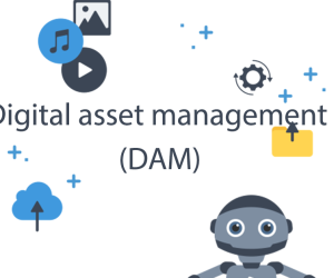 Digital Asset Management