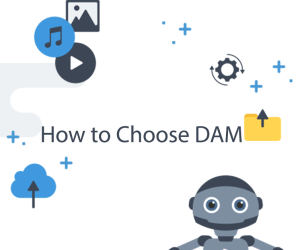 How to Choose Right Digital Asset Management Platf...