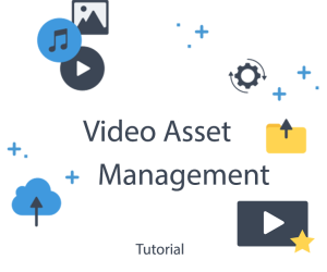 Video Asset Management