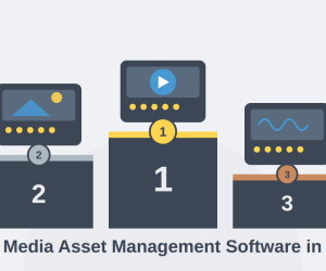 Best Media Asset Management Software in 2026: Feat...